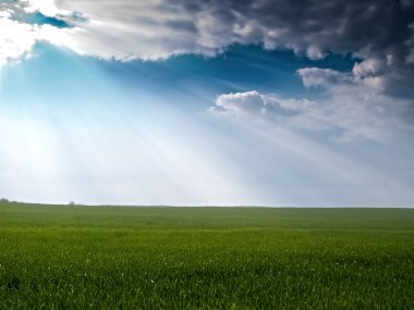 yeşil alan arka plan