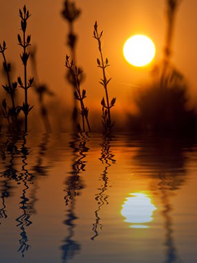 Günbatımı Arkaplanı