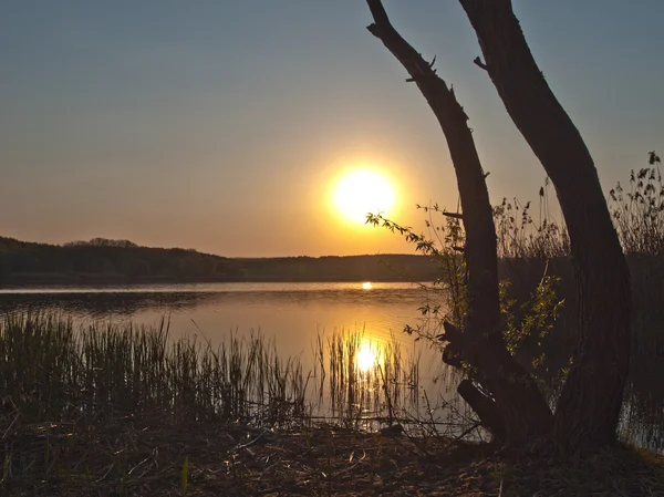 Hintergrund Sonnenuntergang — Stockfoto