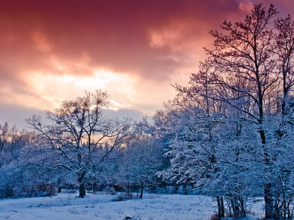 Fondo de invierno —  Fotos de Stock