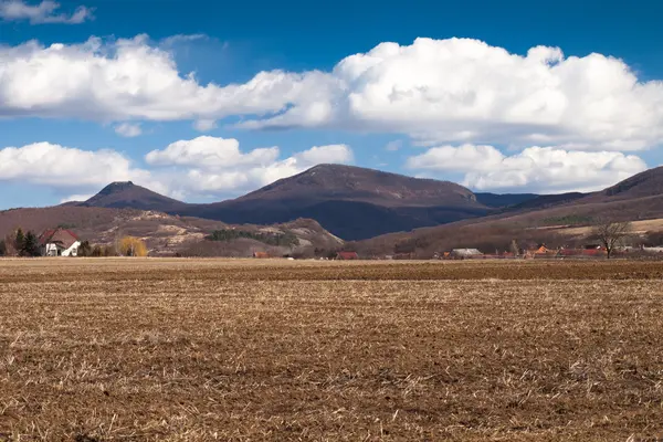 Campo marrom e céu azul — Fotografia de Stock