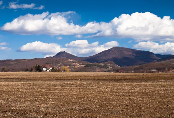 Brown field and blue sky — Stock Photo, Image