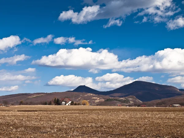 Brown field and blue sky — Stock Photo, Image