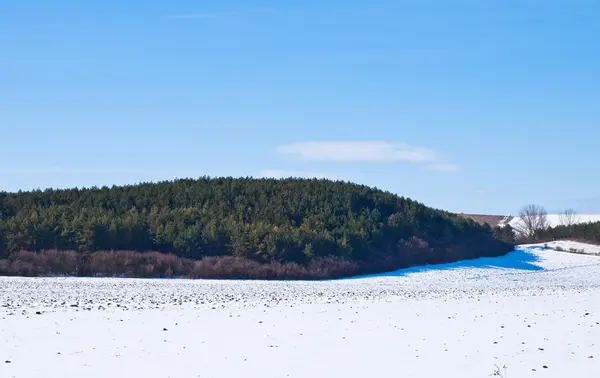 Fundo de inverno — Fotografia de Stock