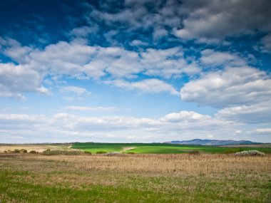 yeşil alan arka plan