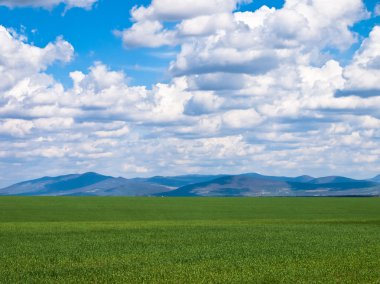 yeşil alan arka plan