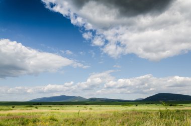 yeşil alan arka plan