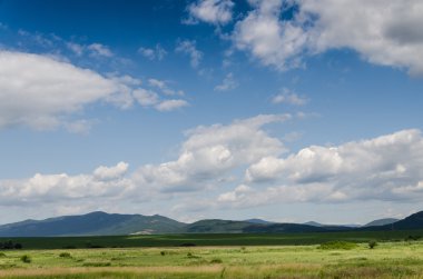 yeşil alan arka plan