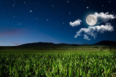Gece Arkaplanı
