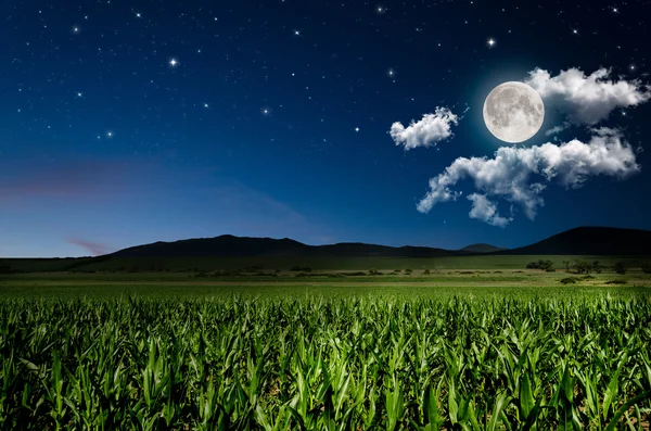 Night background — Stock Photo, Image