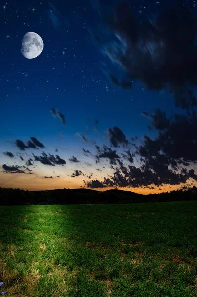 Nachtelijke achtergrond — Stockfoto