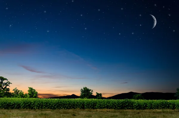 Night background — Stock Photo, Image