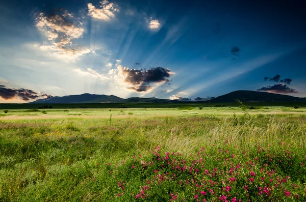 Noční pozadí — Stock fotografie