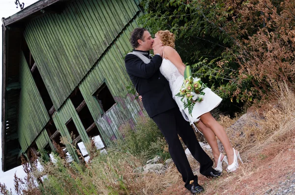 Pareja de boda — Foto de Stock