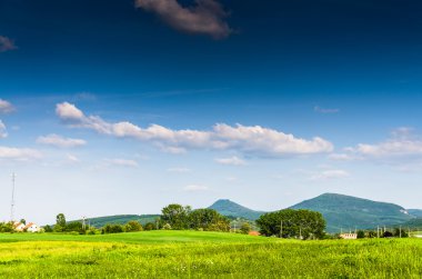 yeşil alan arka plan