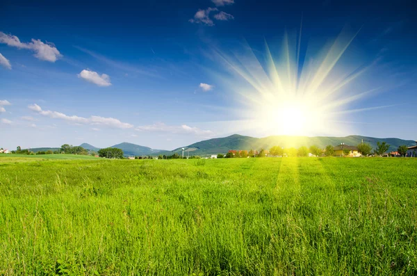 Green field background — Stock Photo, Image