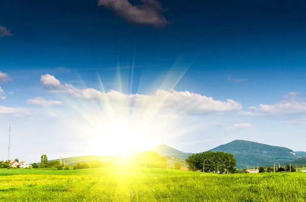 Green field background — Stock Photo, Image