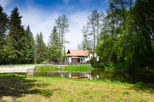 Casa em uma floresta — Fotografia de Stock