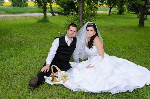 Wedding couple in a park — Stock Photo, Image