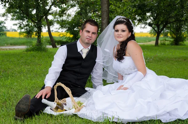 Wedding couple in a park — Stock Photo, Image