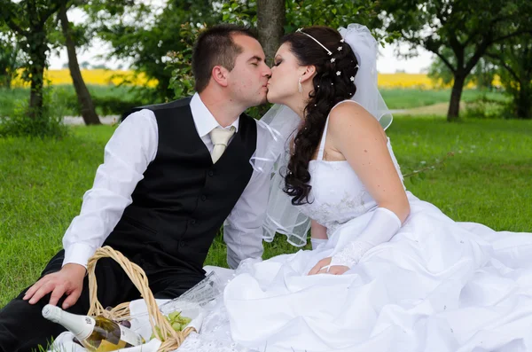 Wedding couple in a park — Stock Photo, Image