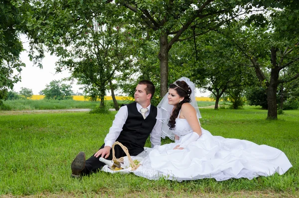 Wedding couple in a park — Stock Photo, Image