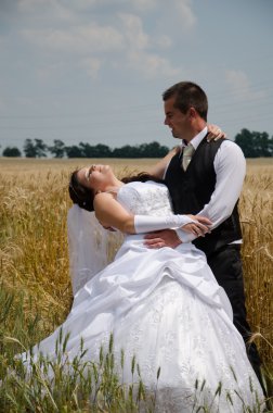 Düğün çifti bir buğday arazi