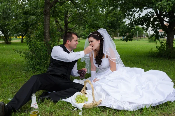 Wedding couple in a park — Stock Photo, Image