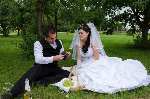 Wedding couple in a park — Stock Photo, Image