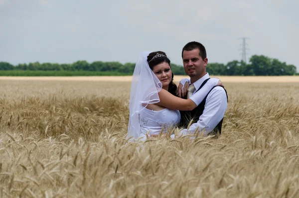 Casamento casal em uma terra de trigo — Fotografia de Stock