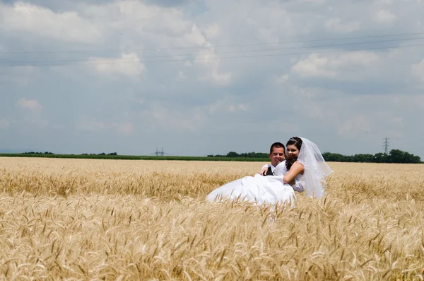 밀 땅에 결혼식 한 쌍 — 스톡 사진