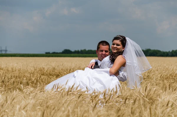 Pareja de boda en una tierra de trigo —  Fotos de Stock