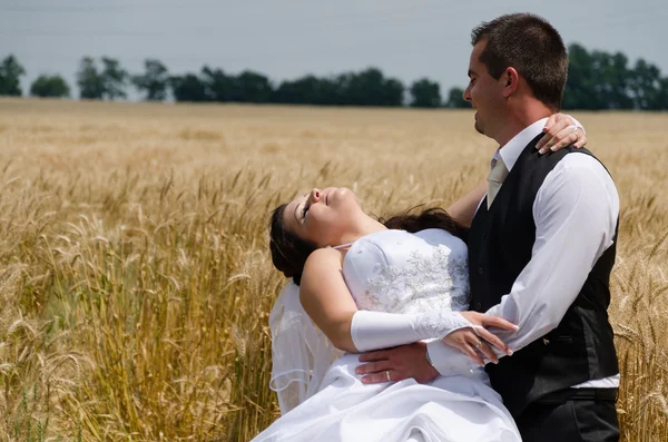Весільна пара на пшеничній землі — стокове фото