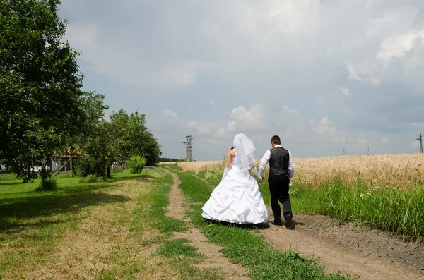 Pareja de boda en una tierra de trigo — Foto de Stock