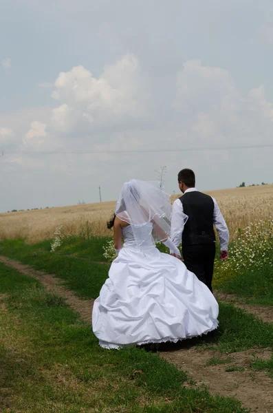 Pareja de boda en una tierra de trigo — Foto de Stock