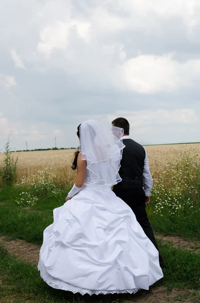Casamento casal em uma terra de trigo — Fotografia de Stock