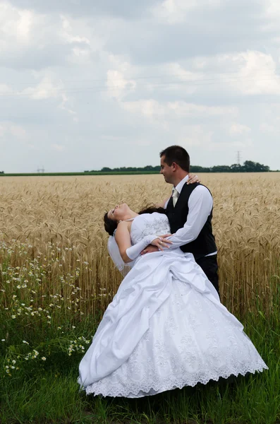 Casamento casal em uma terra de trigo — Fotografia de Stock