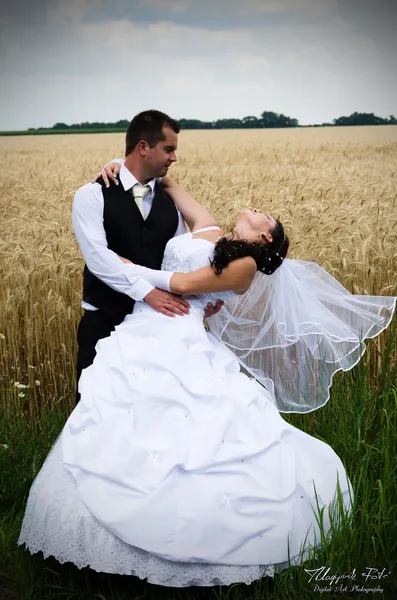 Casamento casal em uma terra de trigo — Fotografia de Stock