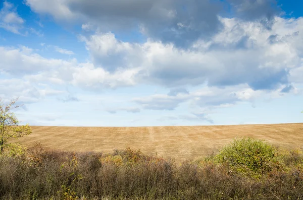 Braunes Feld — Stockfoto