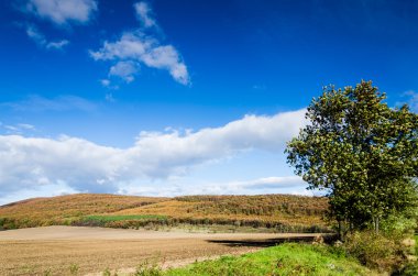 kahverengi alan ve mavi gökyüzü