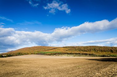kahverengi alan ve mavi gökyüzü