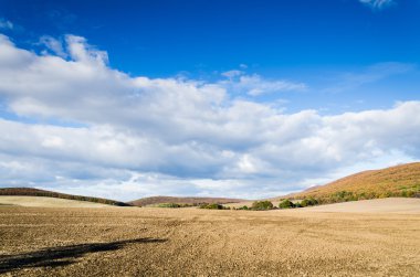 kahverengi alan ve mavi gökyüzü