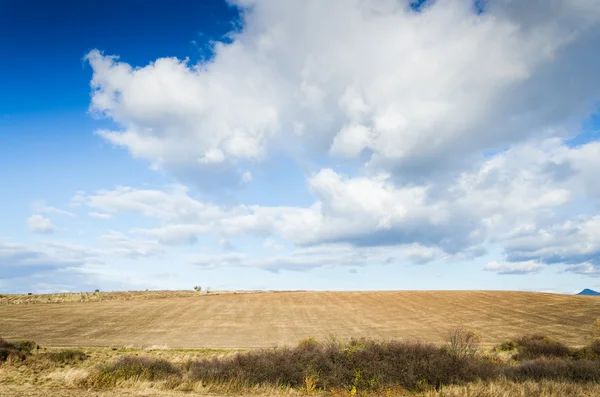 Kahverengi alan ve mavi gökyüzü — Stok fotoğraf