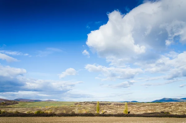 Brown field — Stock Photo, Image