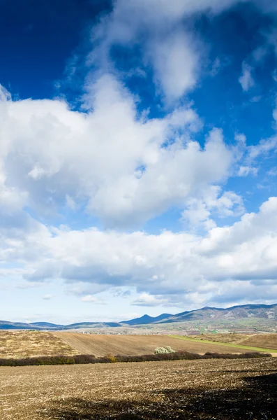 Brown field and blue sky