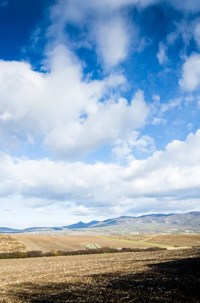 Braunes Feld und blauer Himmel — Stockfoto