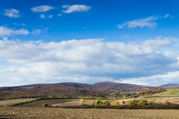 Bruna fält och blå himmel — Stockfoto