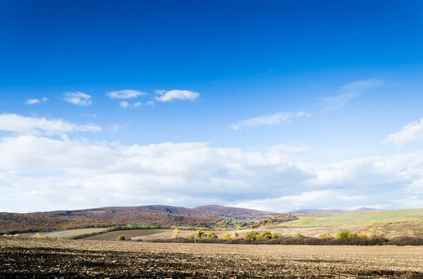 Campo marrone e cielo blu — Foto Stock
