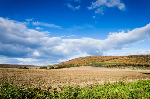 Bruin veld en de blauwe hemel — Stockfoto