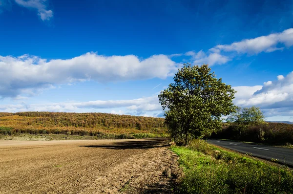 Brown field and blue sky — Stock Photo, Image